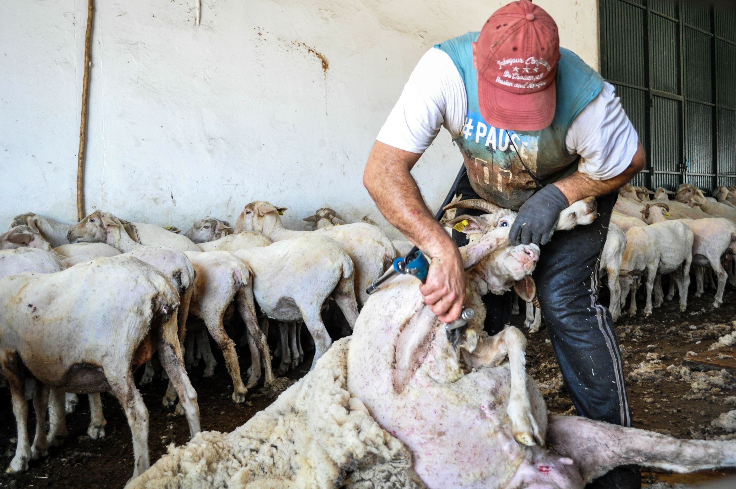 Sospechan que la cepa brasileña está en Extremadura por un brote con 23 casos - Foto: Europa Press Sospechan que la cepa brasileña está en Extremadura por un brote con 23 casos - Foto: Europa Press