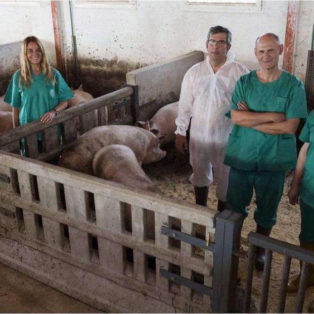 Izpisua con sus colaboradores de la Universidad Católica San Antonio de Murcia. Foto: UCAM