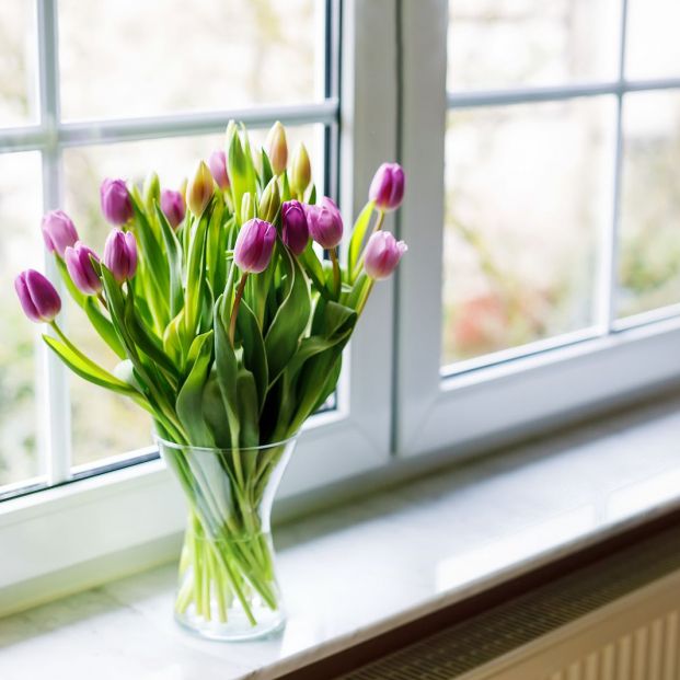 ¿Vistas feas desde tu ventana?  Foto: bigstock