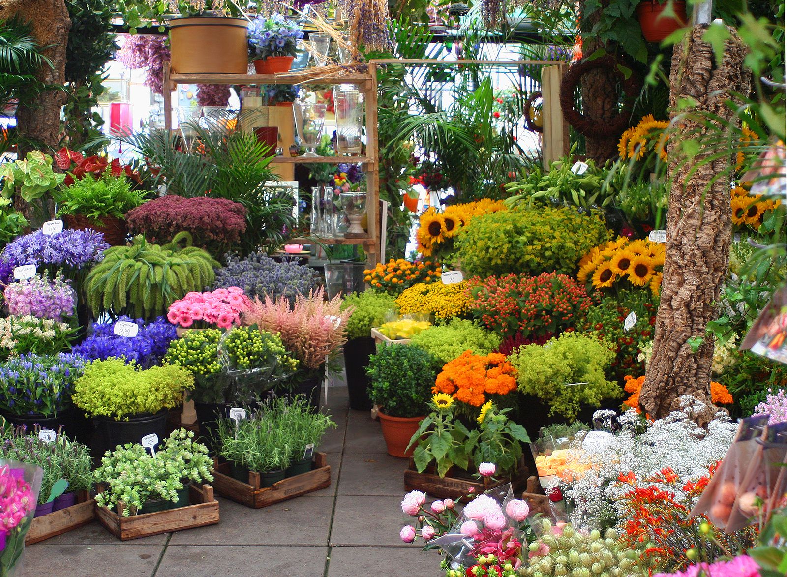 Recorrido por algunas de las floristerías más bonitas y espectaculares de España