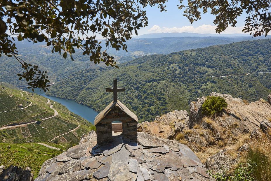 bigstock Ribeira Sacra Terrace Vineyard 394024034