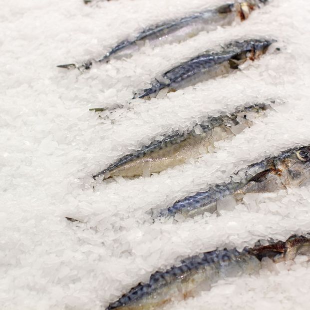 Estos son los pescados que es obligatorio congelar para evitar el anisakis (Foto Bigstock) 3
