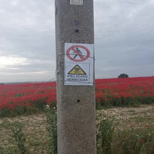 Poste a la entrada de la plantación con un cartel que avisa: "Campo de amapolas sulfato" (Foto: Facebook Susana S.J.)