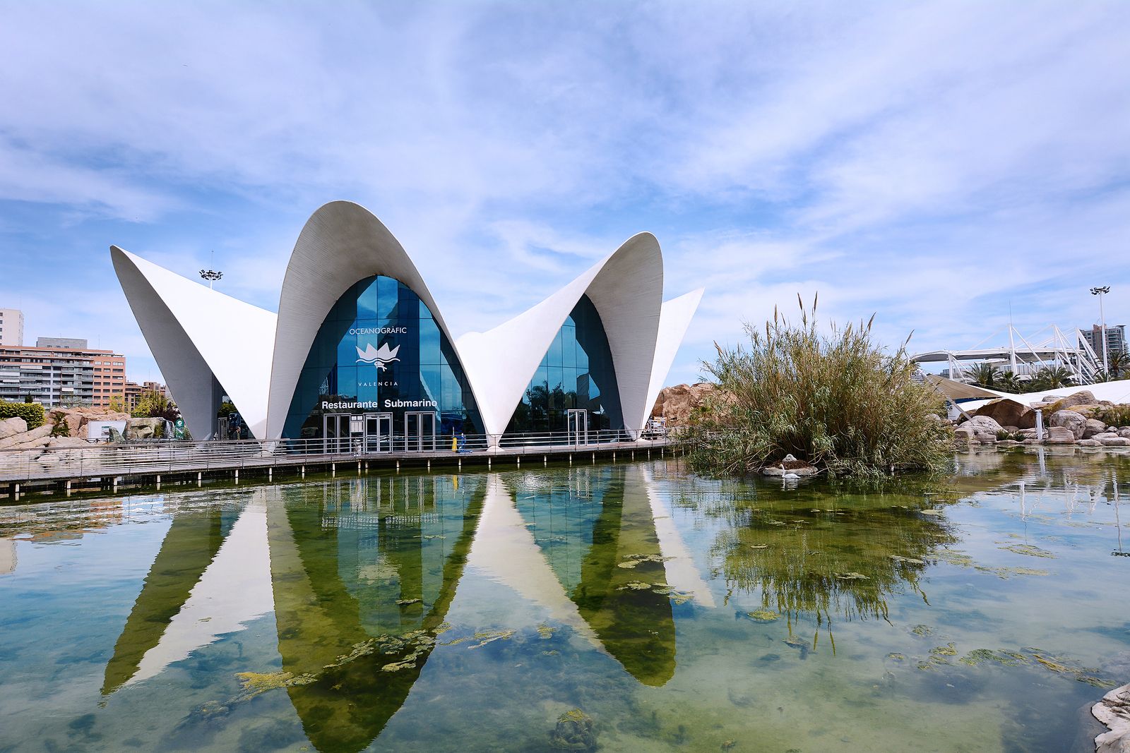 Ciudad de las Artes y las Ciencias Valencia (Bigstock)