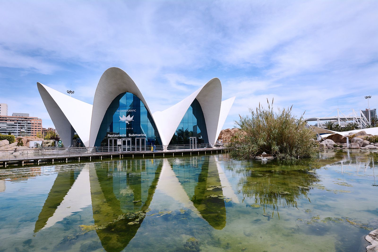 Crónico Campeonato embargo Un día en la Ciudad de las Artes y las Ciencias de Valencia