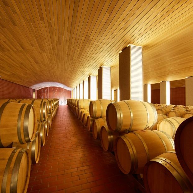 Bodegas Vega Sicilia (Foto: web bodega)