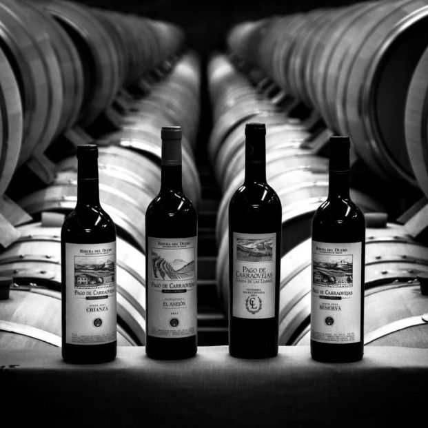 Vinos de Bodega Pago de Carraovejas (Foto: web bodega)