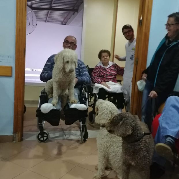 Personas mayores con los perros de Antonio.