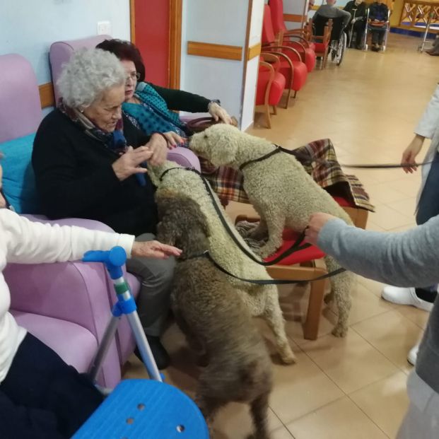 Mujer mayor con dos de los perros. 