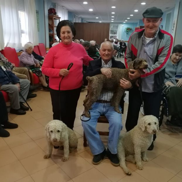 Terapia con perros en las residencias.