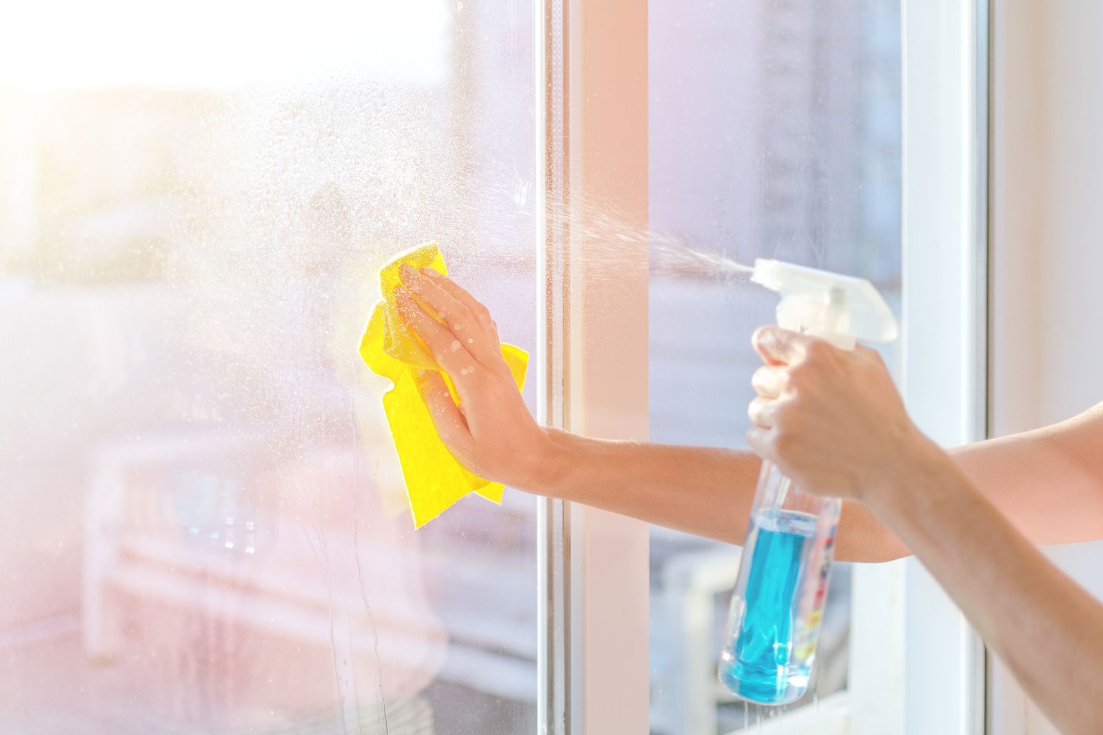 #1 Window Cleaning Professional