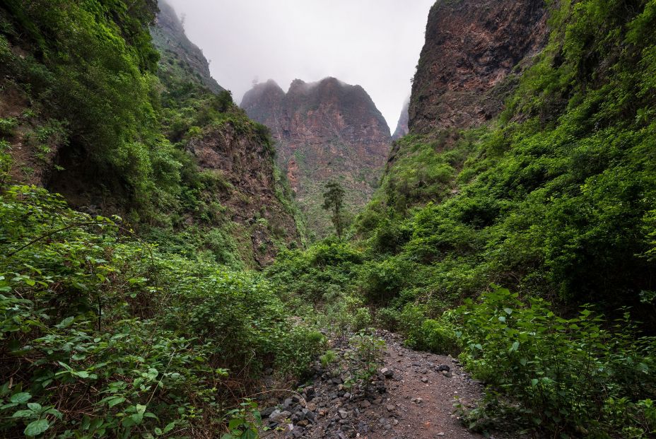 Barranco de Badajoz (Tenerife) (Foto: bigstock)