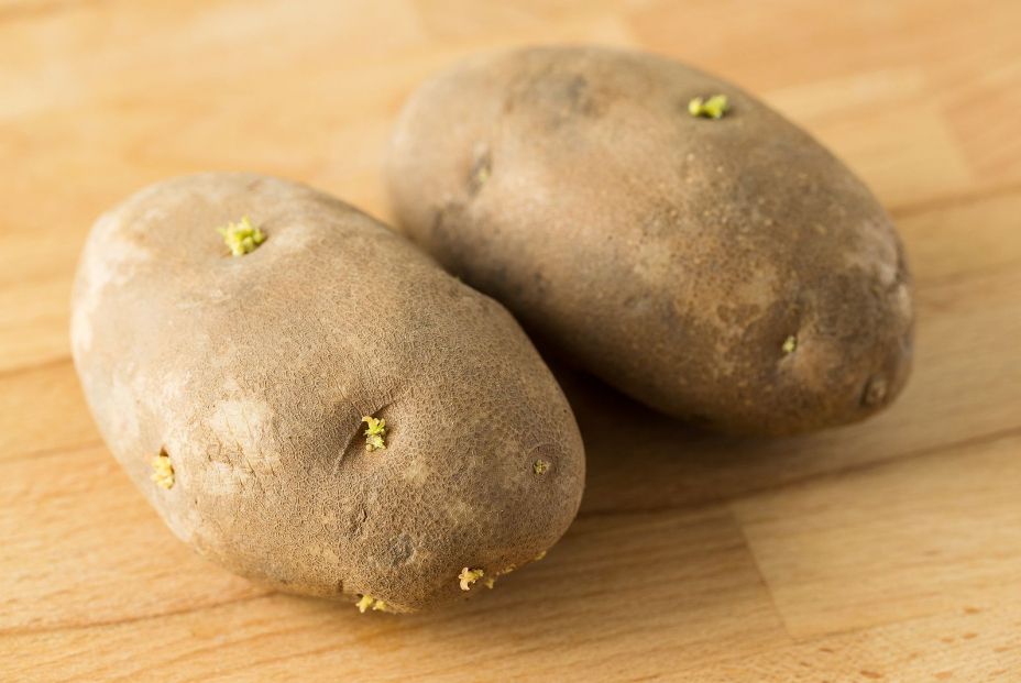 Razones por las que no debes comer patatas verdes o con brotes