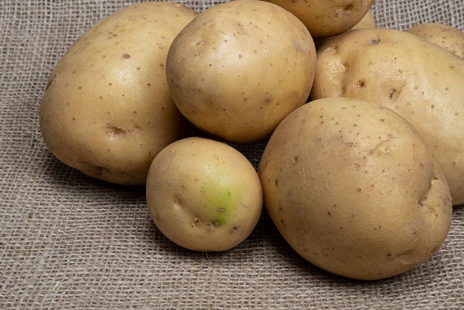 Razones por las que no debes comer patatas verdes o con brotes