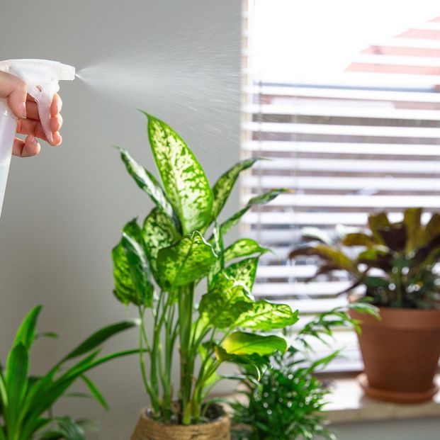 Usos sorprendentes y muy prácticos del agua oxigenada