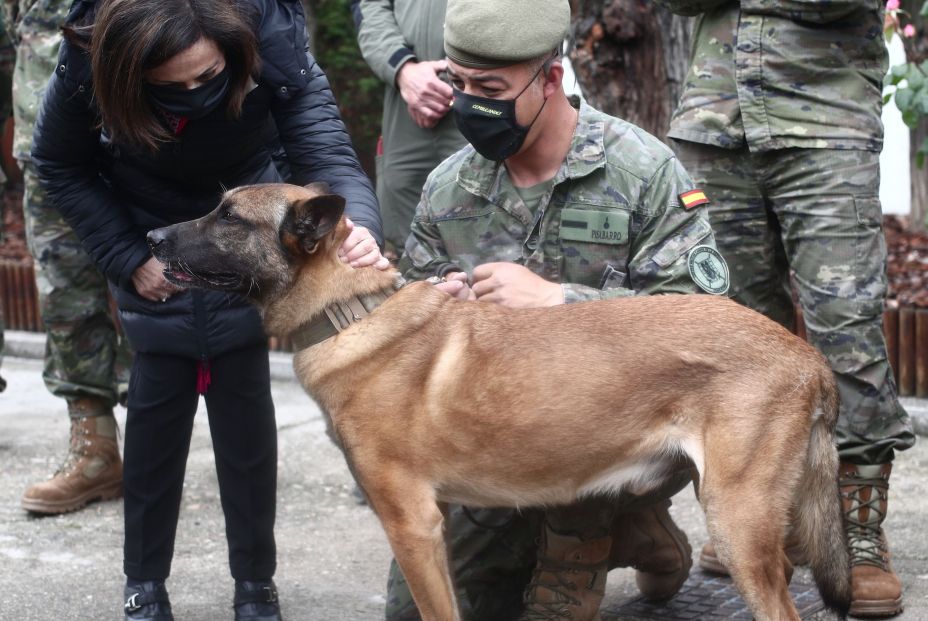 EuropaPress 3666367 ministra defensa margarita robles acaricia perro visita centro militar