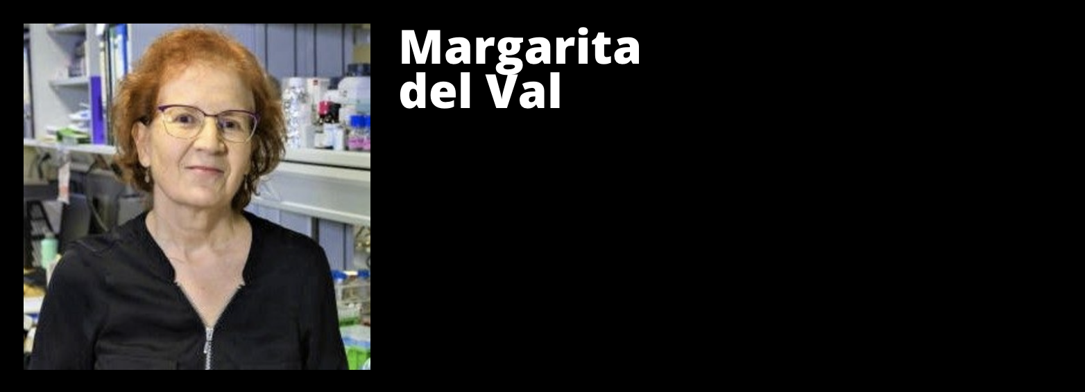 Margarita del Val