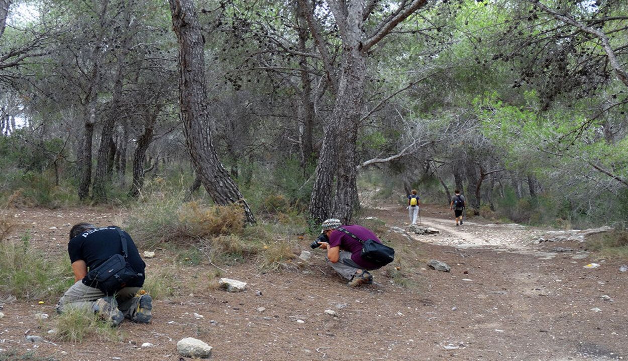 Hallados restos humanos de tres personas en el municipio valenciano de Picassent 