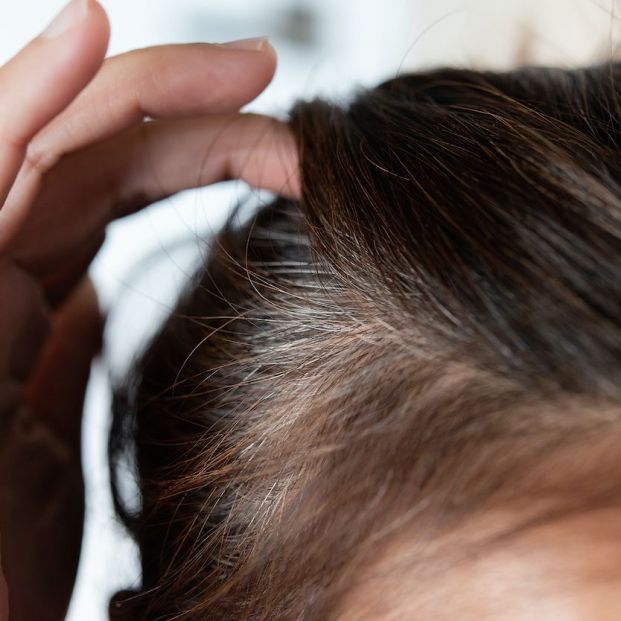 bigstock Por qué algunas mujeres tienen canas antes