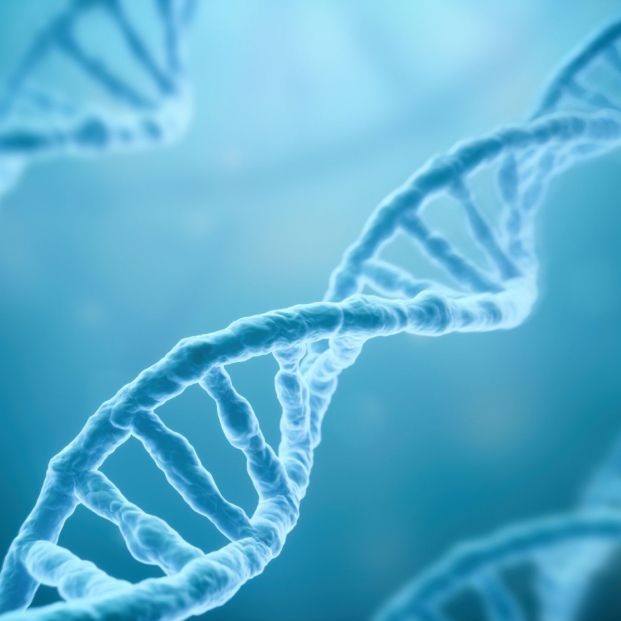 Las personas que viven más de 105 años tienen una reparación del ADN más eficiente