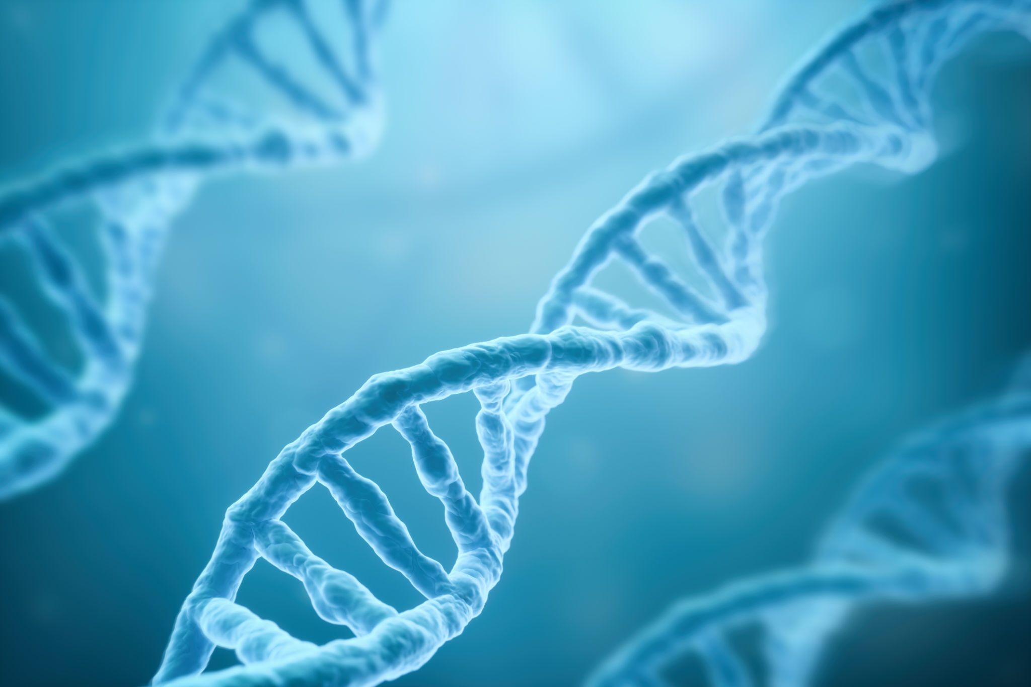 Encuentran en un panteón el ADN de cinco generaciones enteras