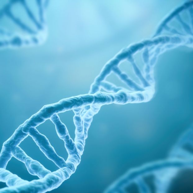 Encuentran en un panteón el ADN de cinco generaciones enteras