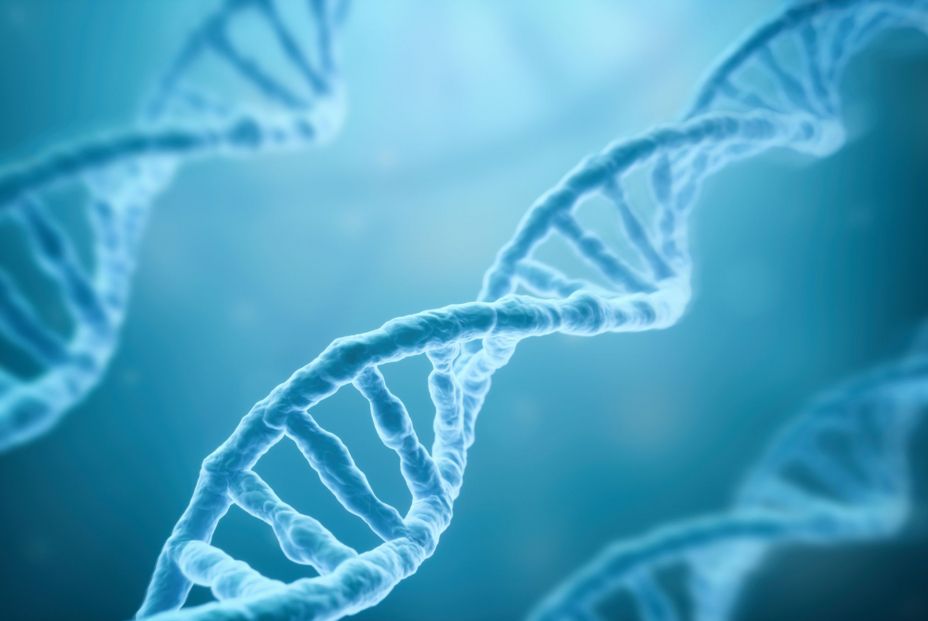 Las personas de más de 105 tienen un ADN más eficiente