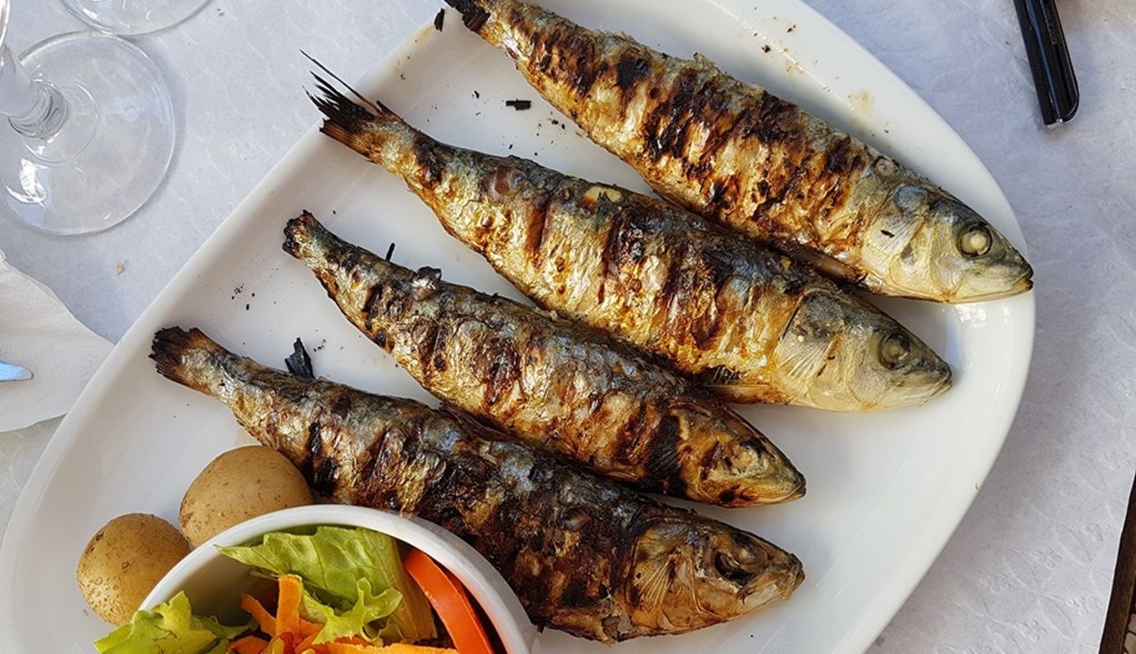 El consumo regular de sardinas ayuda a prevenir la diabetes tipo 2