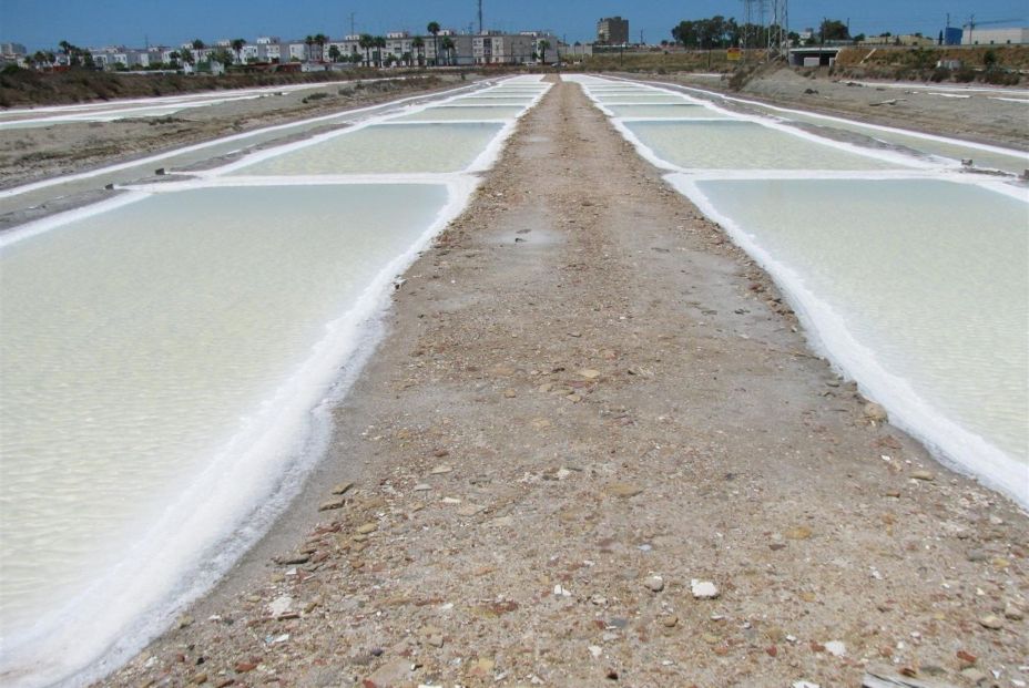 Ruta por las salinas de la Bahía de Cádiz