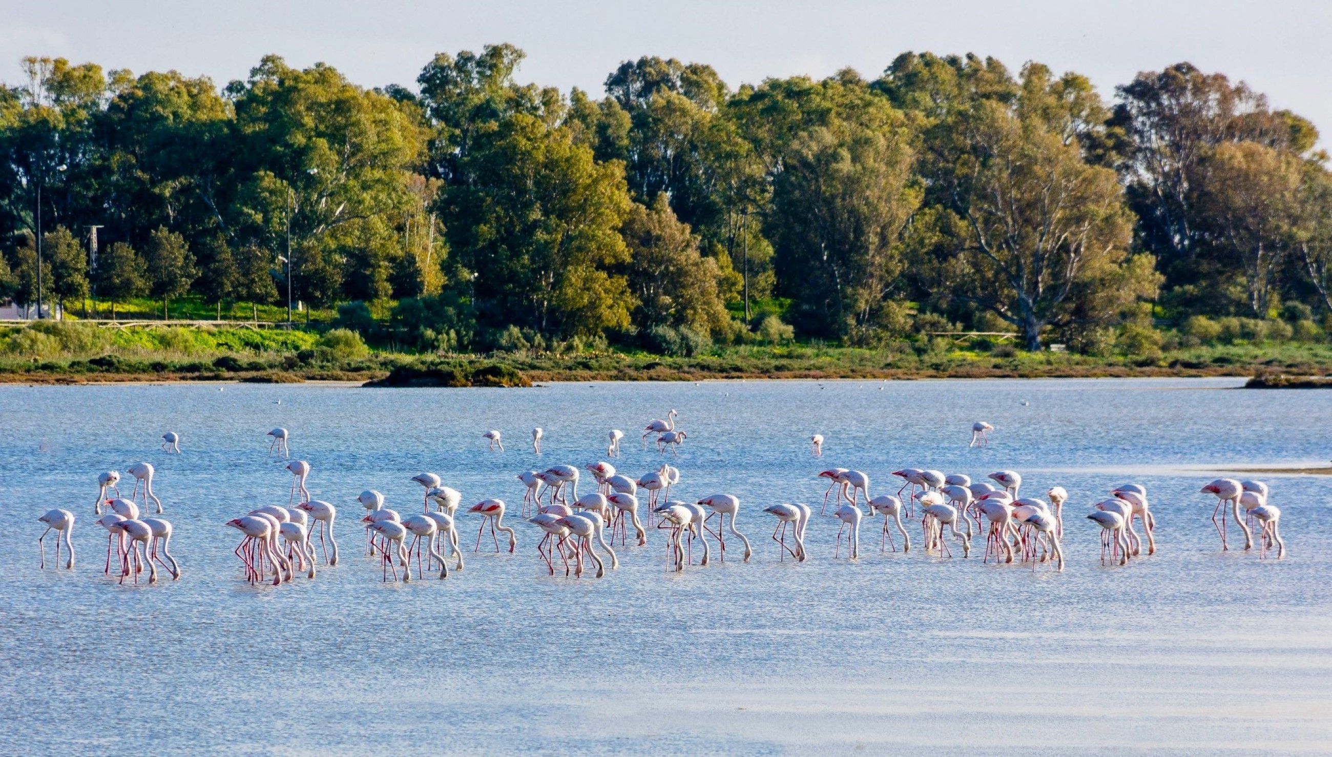 Ruta por las salinas de la Bahía de Cádiz