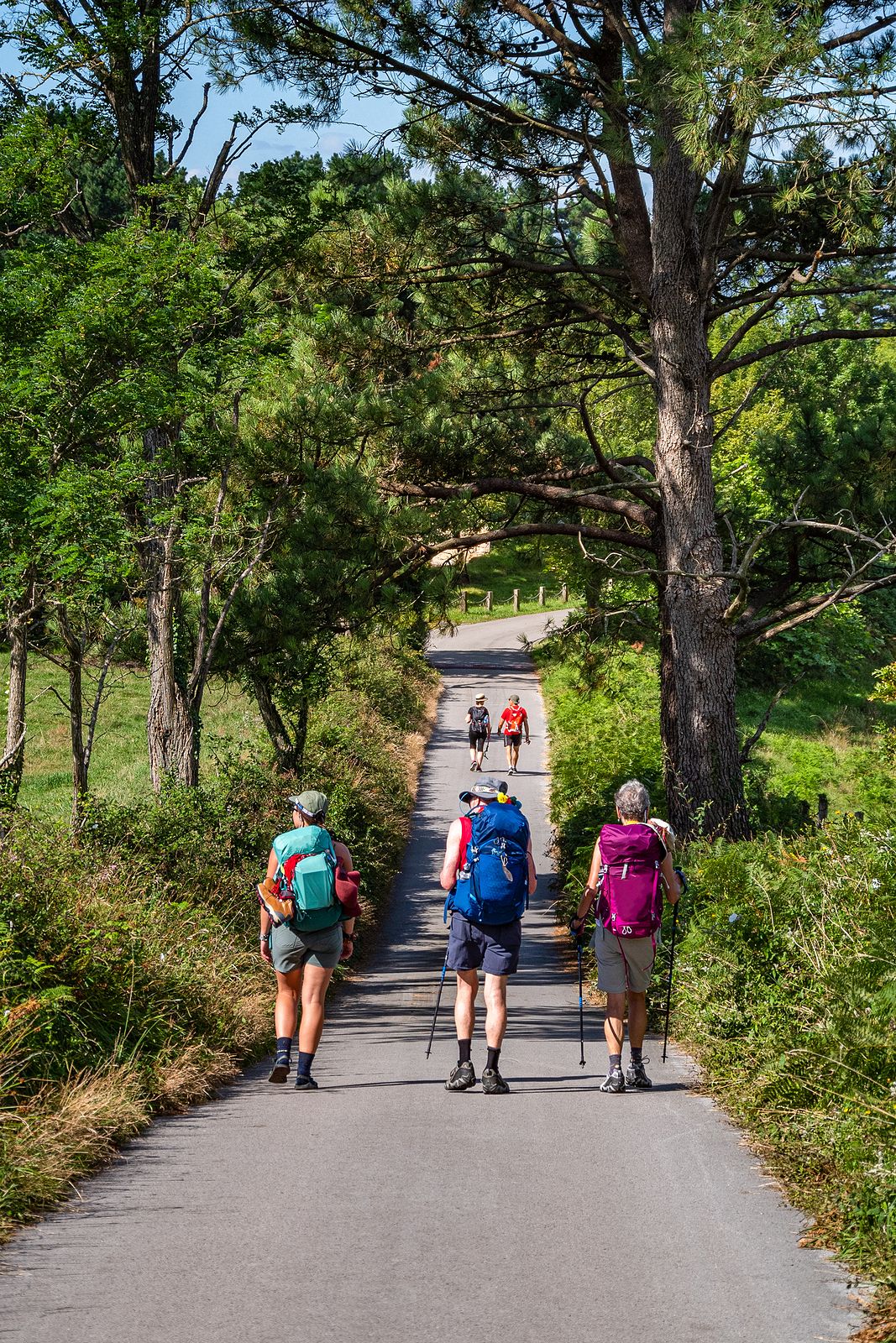 Camino de Santiago en verano?¿Has preparado ya tus calcetines?