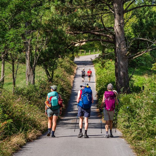 Si vas a hacer el Camino de Santiago, mejor en compañía