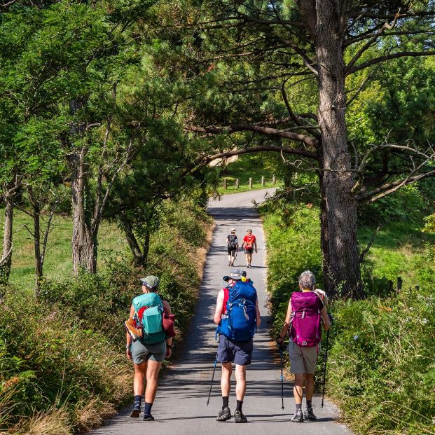 ¿Mayor para el Camino de Santiago? 5 recomendaciones para que la edad no importe. Bigstock