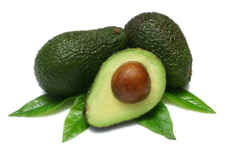 bigstock Avocado 1567273