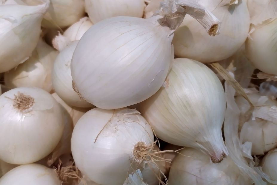 bigstock White Onion Fresh White Onion 400140977