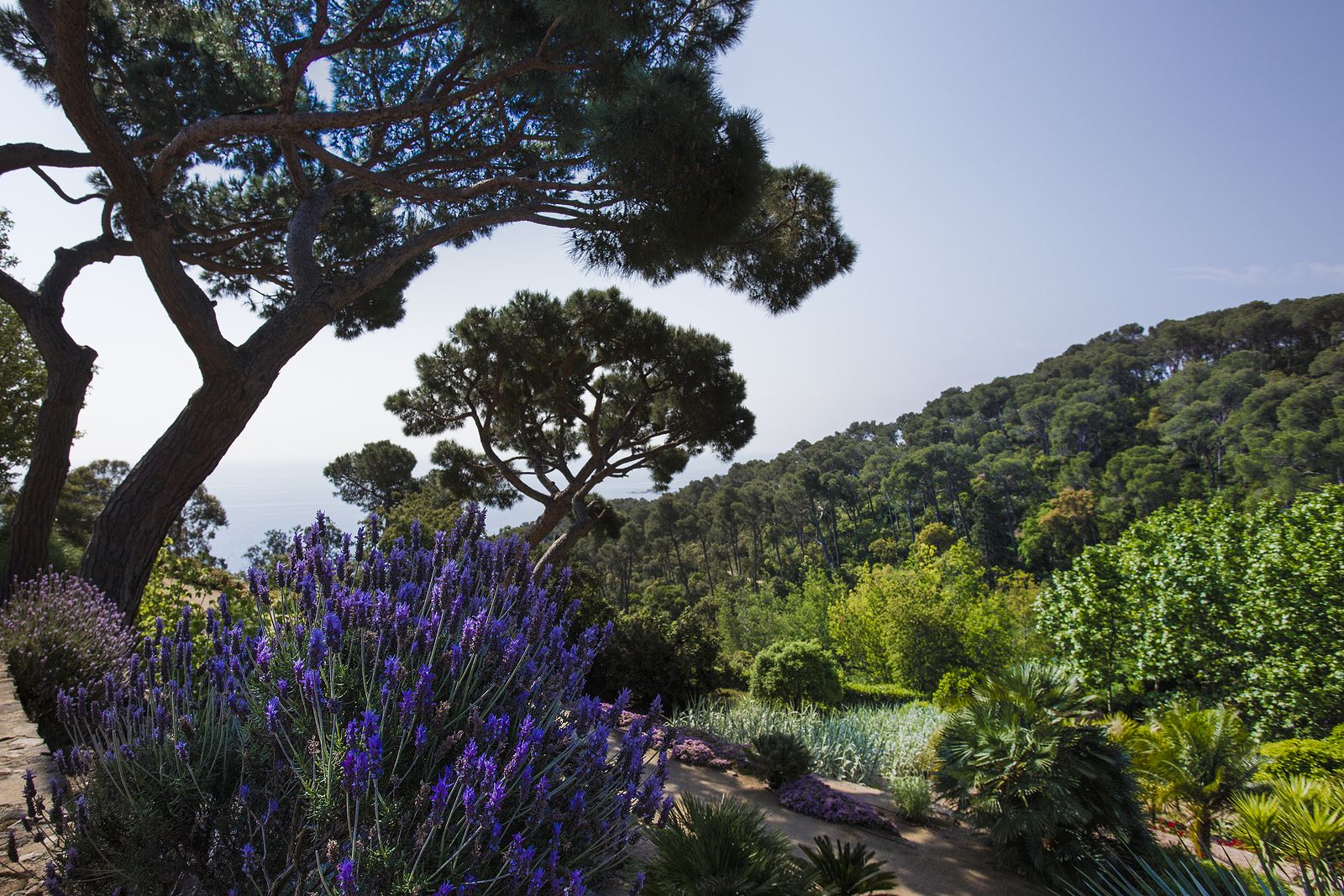 Cap Roig, la joya del Mediterráneo donde podrás ver a Raphael, Orozco, Estopa o Bisbal