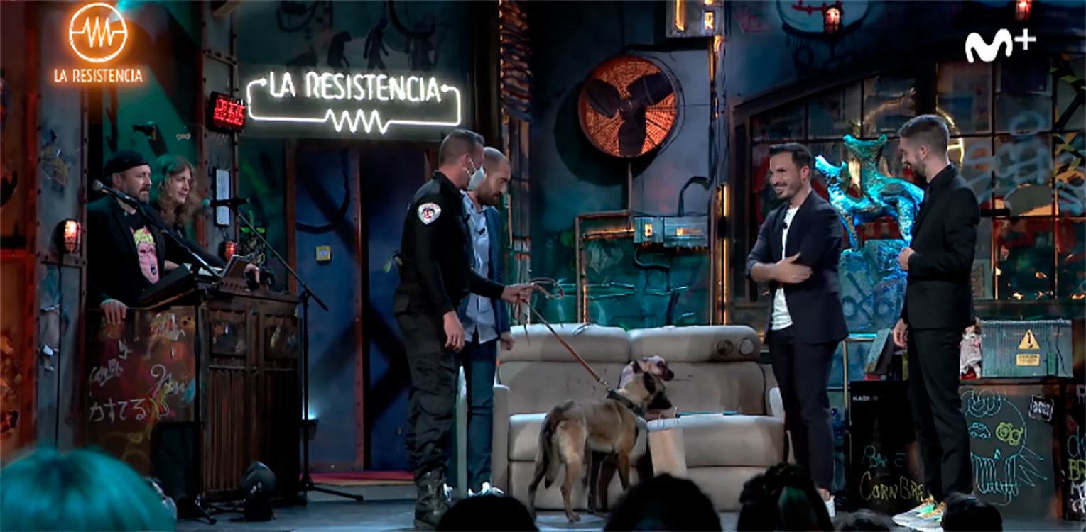 'La Resistencia' lleva a un perro antidrogas y detecta un paquete de porros entre el público
