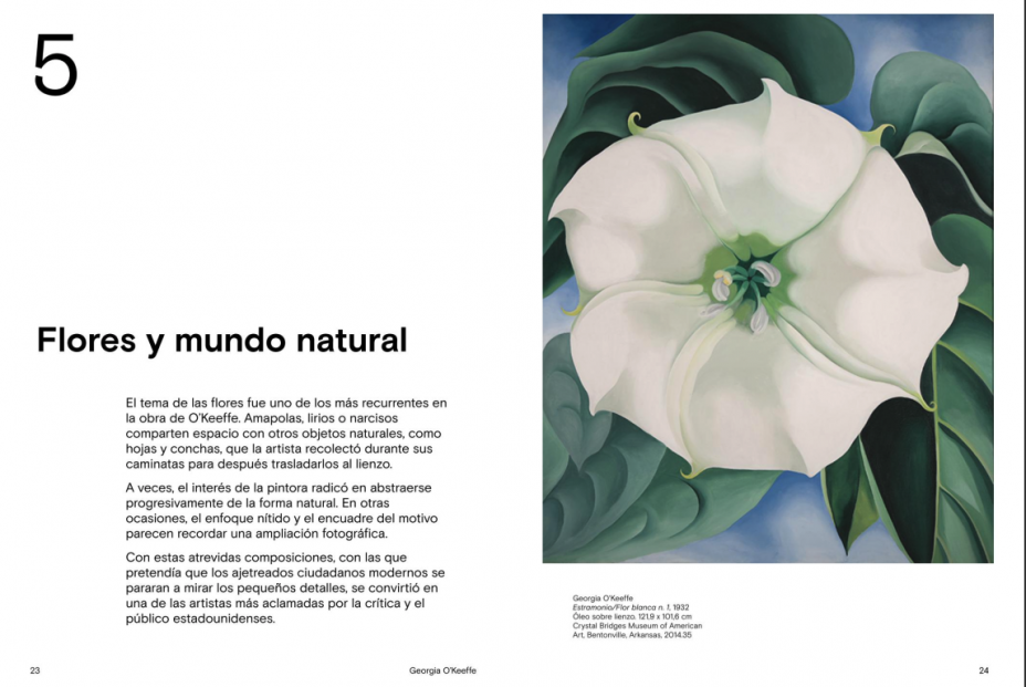 Revista interactiva Georgia O'Keeffe