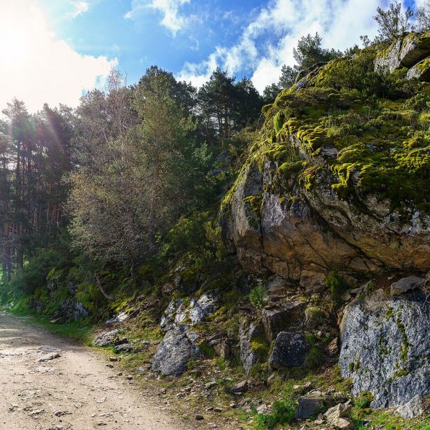 ¡A los pedales! Rutas en bici para todas las edades Foto: bigstock