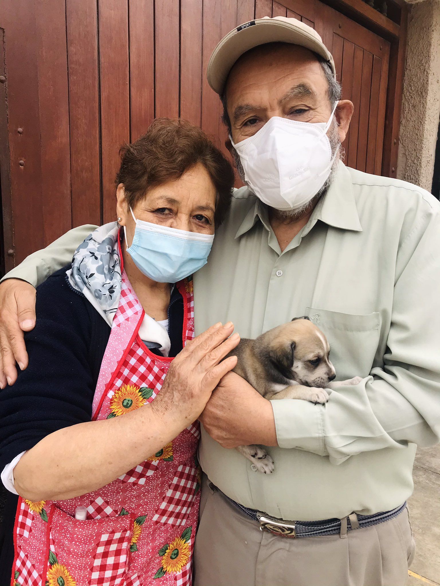 Vídeo: La emoción de un matrimonio al conseguir adoptar un cachorro tras ser rechazados por su edad