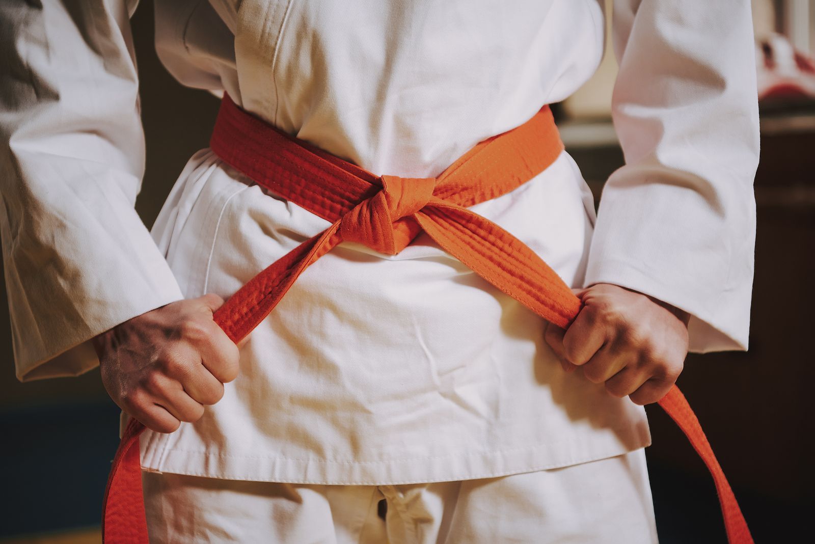 Las 6 mejores series de peleas y artes marciales en streaming Foto: bigstock