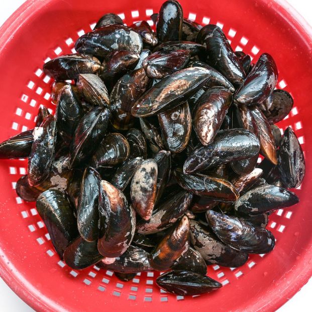 Trucos para limpiar mejillones fácilmente Foto: bigstock