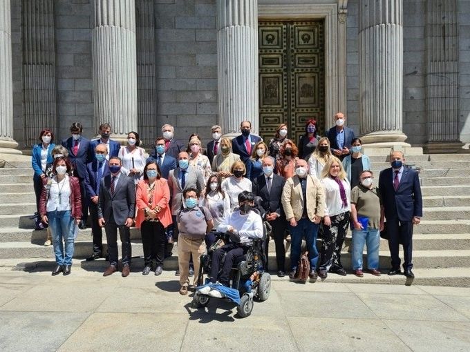 EuropaPress 3723338 ong personas discapacidad diputados puertas congreso