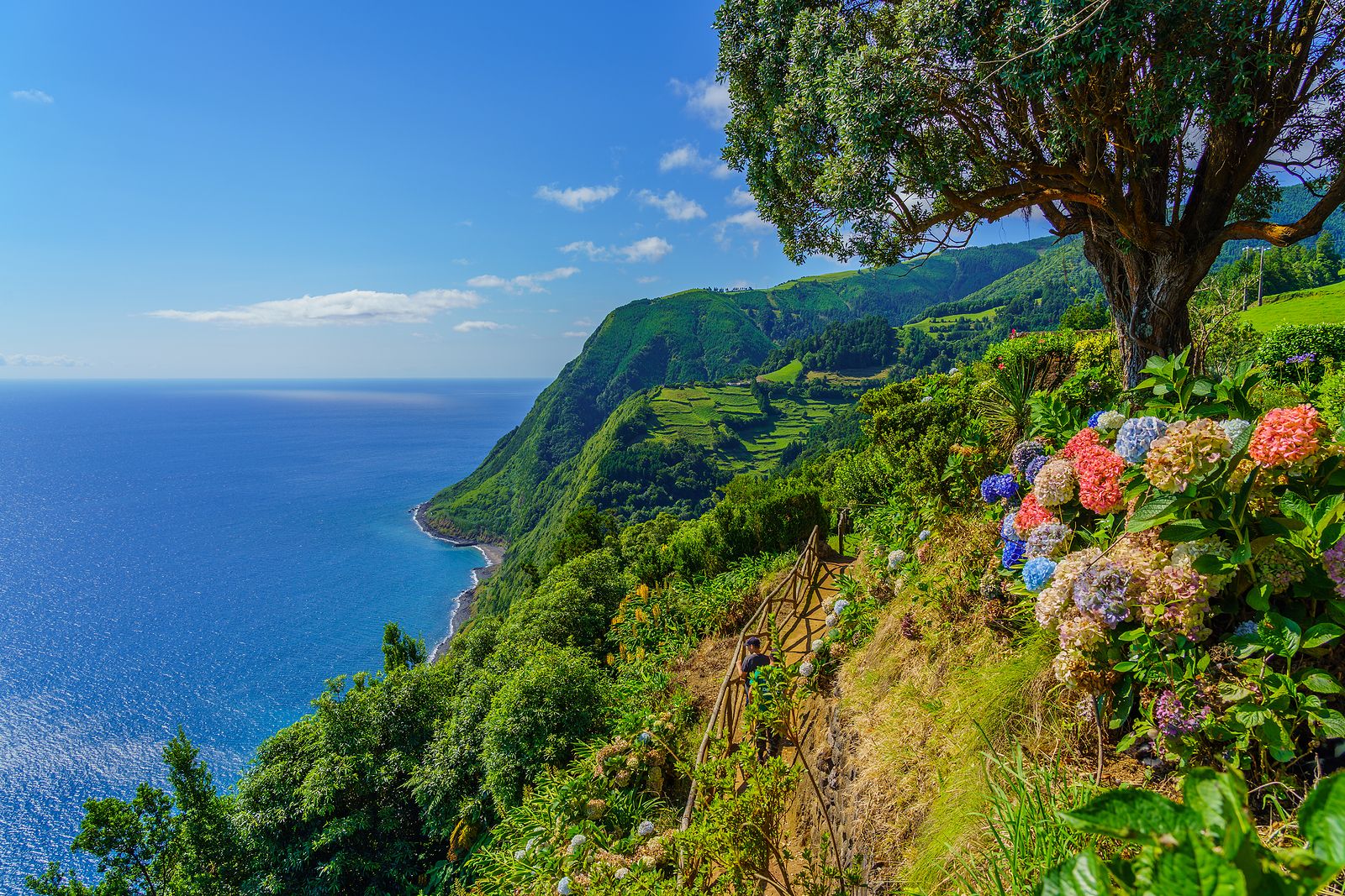 Islas Azores, un tesoro portugués en medio del Atlántico. Foto: bigstock 