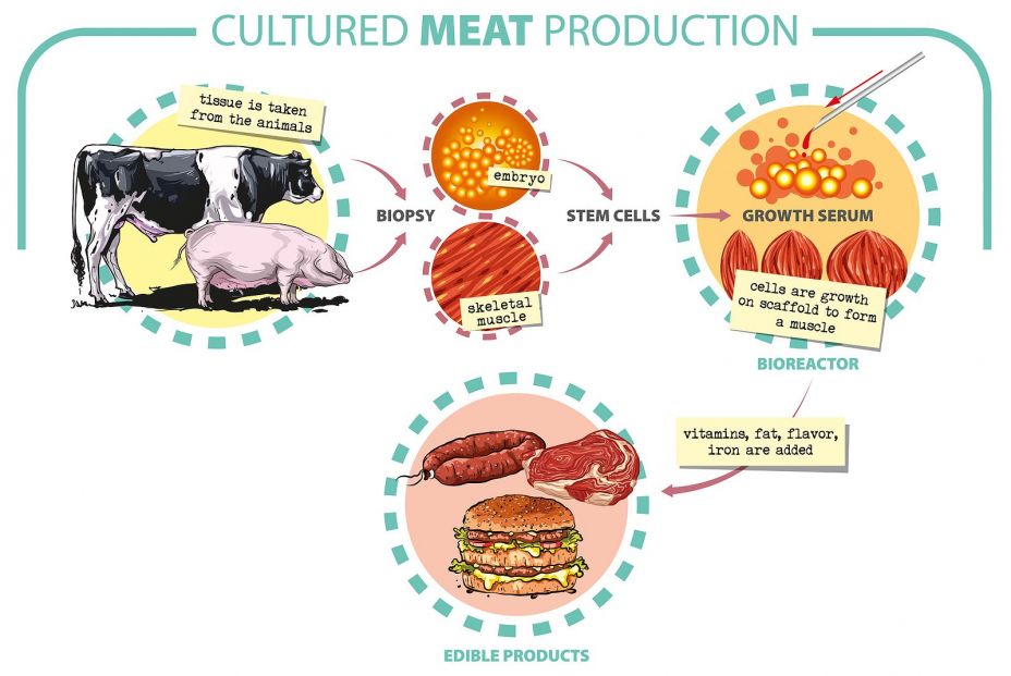 ¿Has oído hablar de la carne cultivada? Te contamos que es esta apuesta de futuro