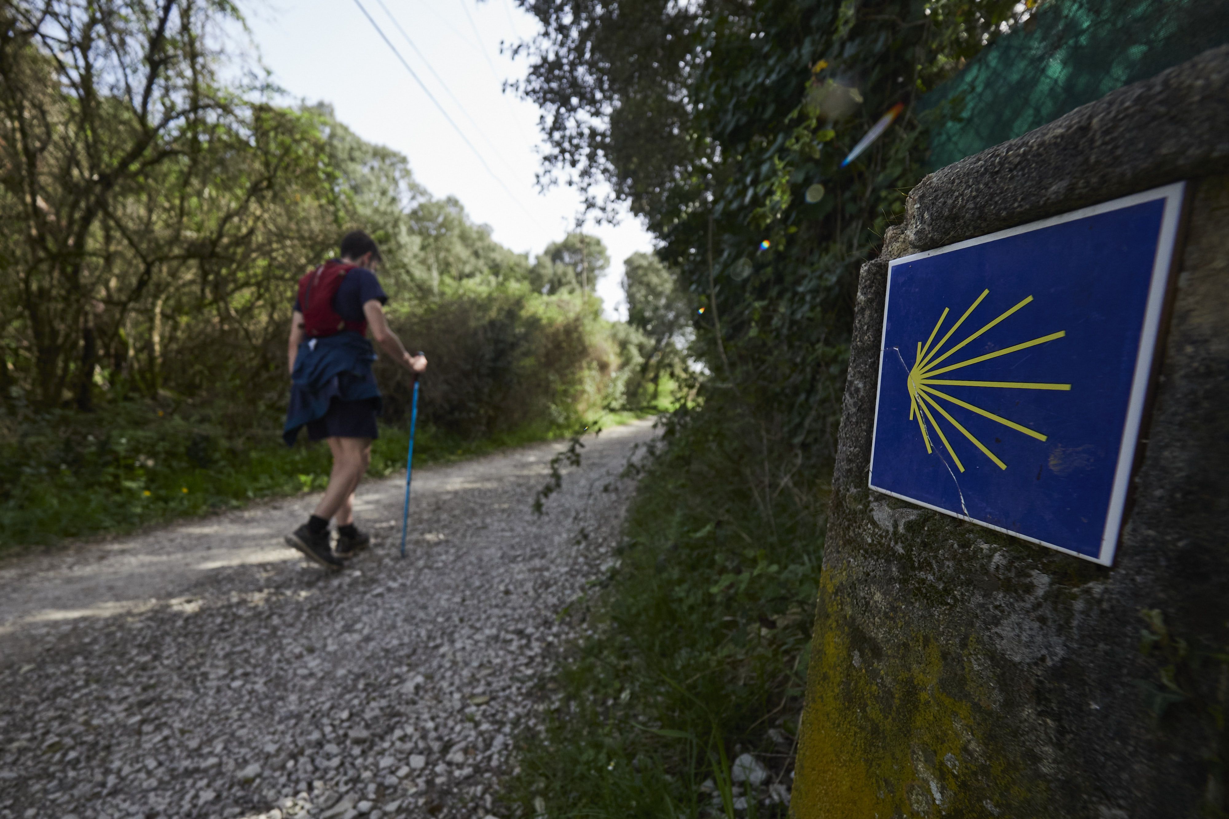 Nunca pierdas de vista la indicación amarilla del Camino de Santiago y no te aventures por sendas no señalizadas