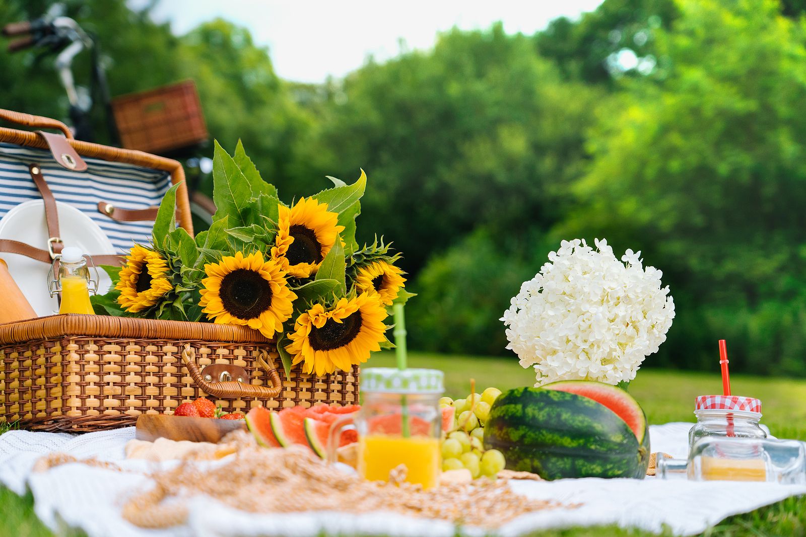 Nos vamos de picnic en primavera con estos productos de IKEA y El Corte Inglés