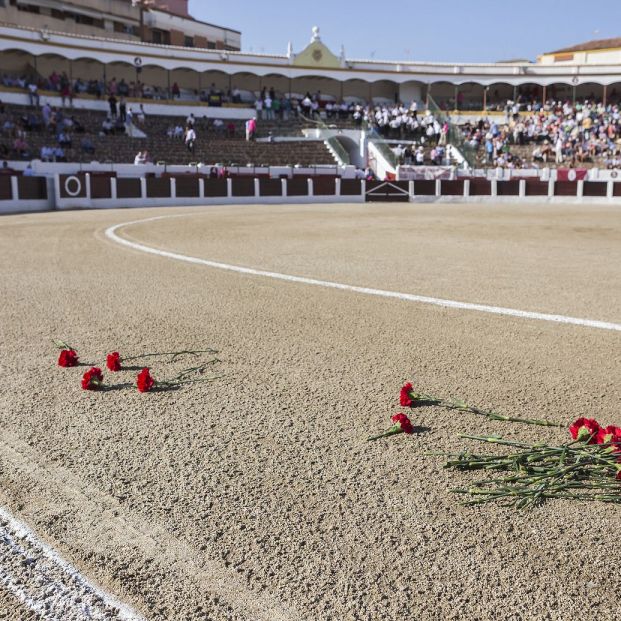 Las plazas de toros más bonitas de España Foto: bigstock