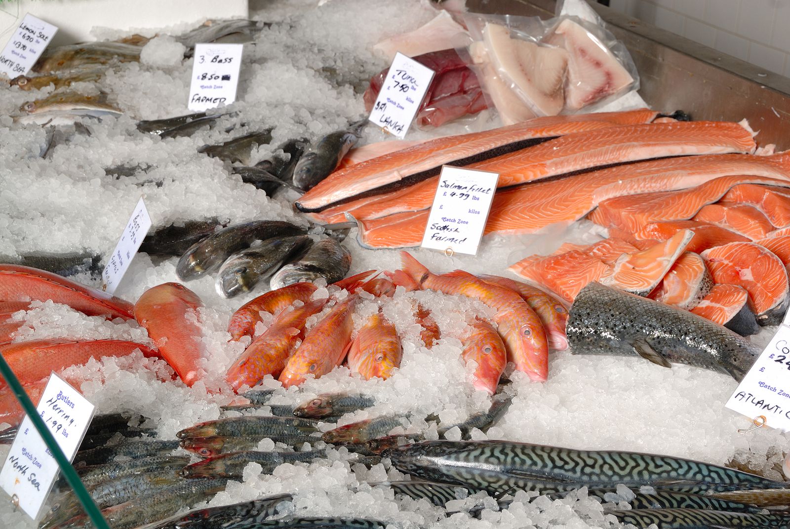 Cuida de tu salud comiendo varios tipos de pescado
