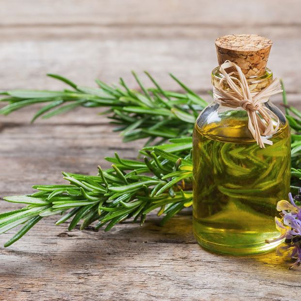 Tratamientos con romero para frenar la caída del cabello